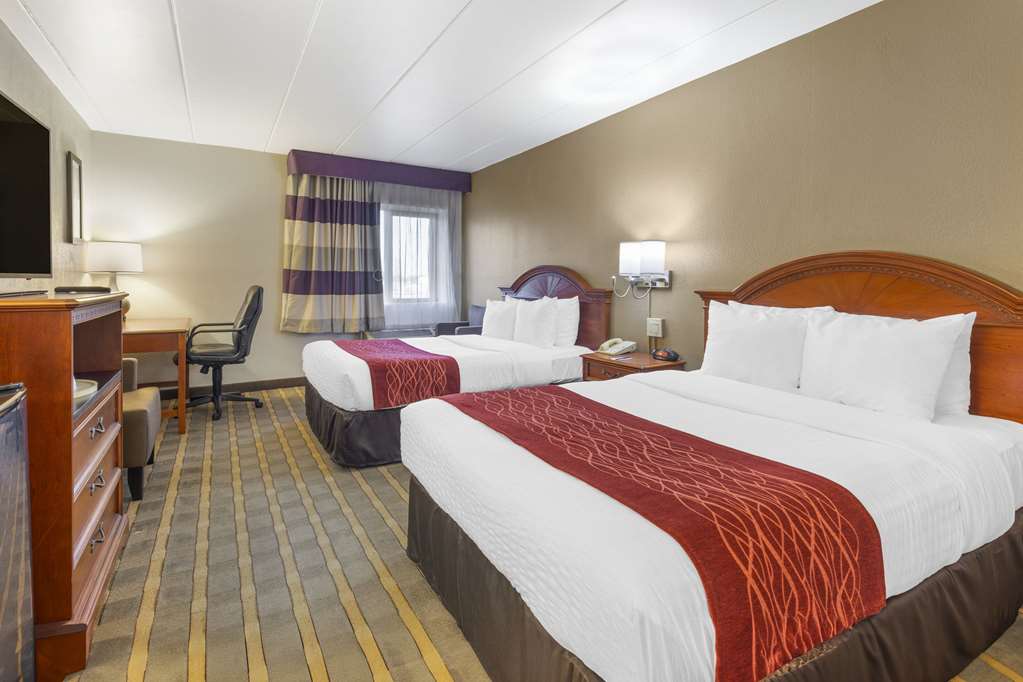 COMFORT INN FAIRFAX UNIVERSITY CENT-guestroom-Guest Room,On-Site.jpg