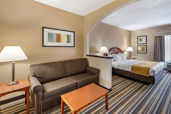  - Comfort Suites Chesapeake - I-64, Exit 289