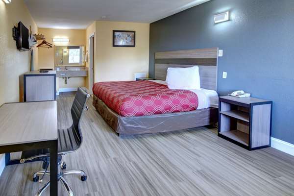  - Econo Lodge Military Circle Norfolk - I-264, Exit 13