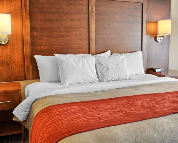  - Comfort Inn Ruther Glen - I-95, Exit 104