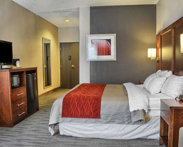  - Comfort Inn Ruther Glen - I-95, Exit 104