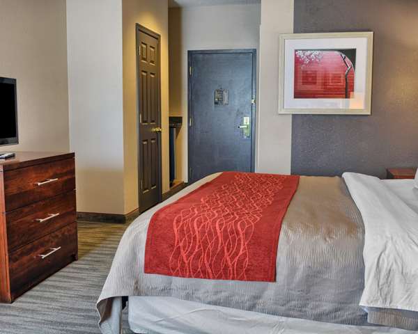  - Comfort Inn Ruther Glen - I-95, Exit 104