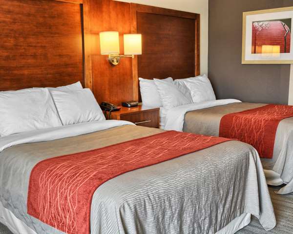  - Comfort Inn Ruther Glen - I-95, Exit 104
