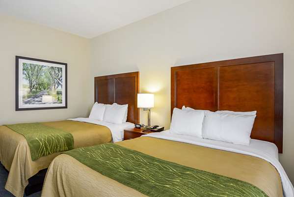  - Comfort Inn Shenandoah Woodstock - I-81, Exit 283