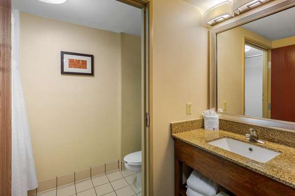 Suite - Comfort Suites Manassas - I-66, Exit 47