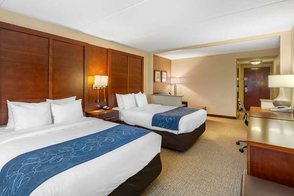 Suite - Comfort Suites Manassas - I-66, Exit 47