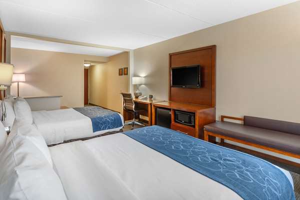 Suite - Comfort Suites Manassas - I-66, Exit 47