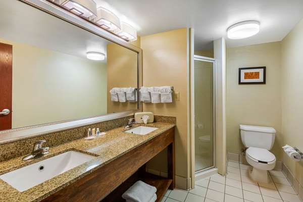 Suite - Comfort Suites Manassas - I-66, Exit 47