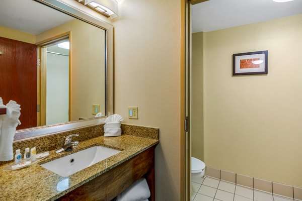 Suite - Comfort Suites Manassas - I-66, Exit 47