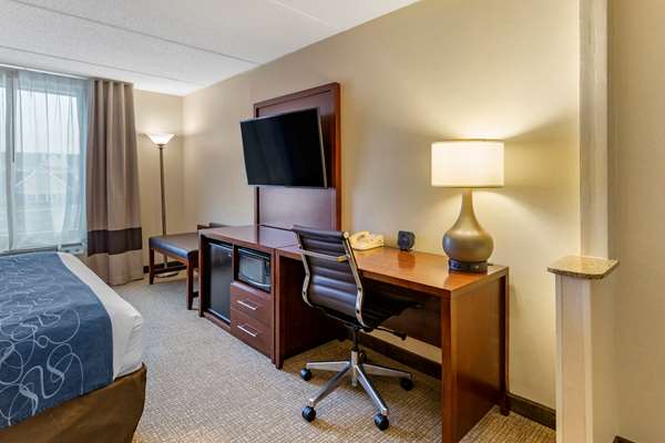 Suite - Comfort Suites Manassas - I-66, Exit 47