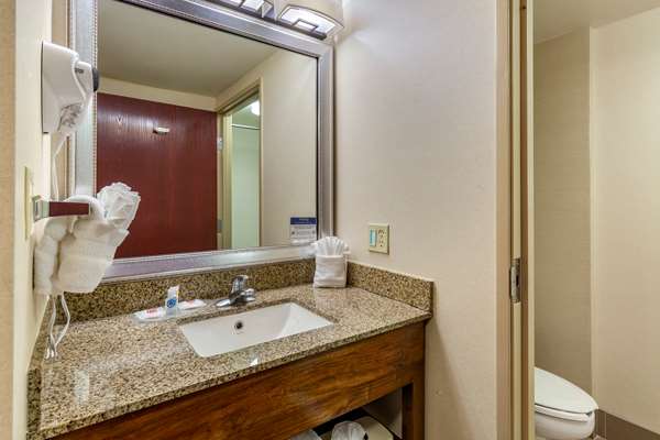 Suite - Comfort Suites Manassas - I-66, Exit 47