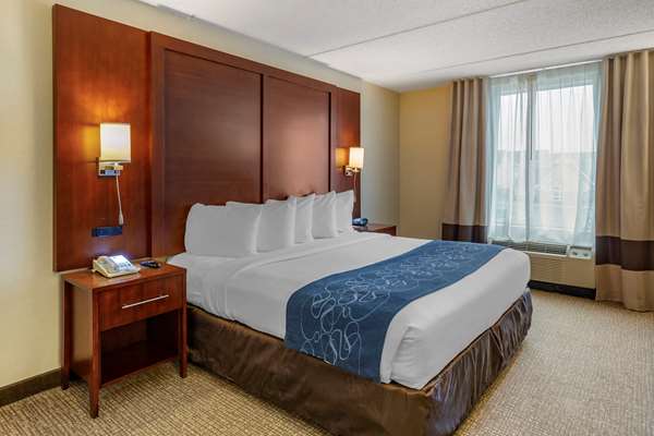 Suite - Comfort Suites Manassas - I-66, Exit 47
