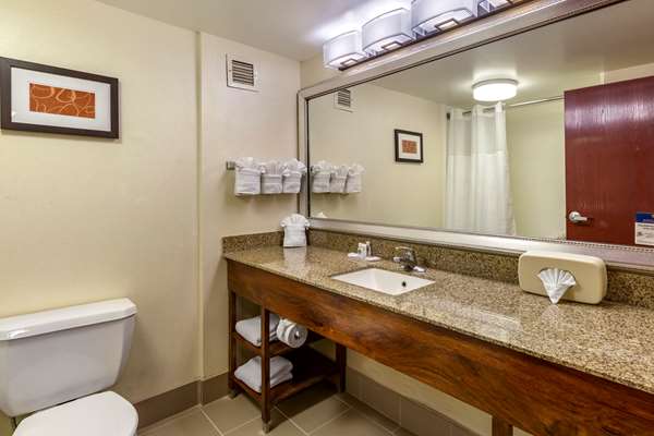 Suite - Comfort Suites Manassas - I-66, Exit 47