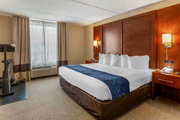 Suite - Comfort Suites Manassas - I-66, Exit 47