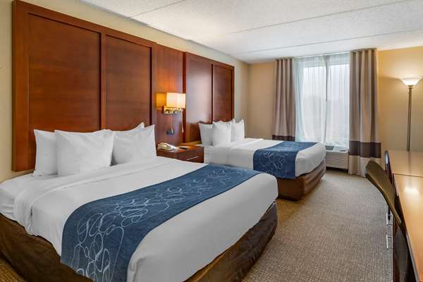 Suite - Comfort Suites Manassas - I-66, Exit 47