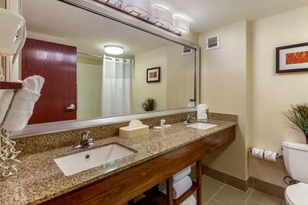 Suite - Comfort Suites Manassas - I-66, Exit 47