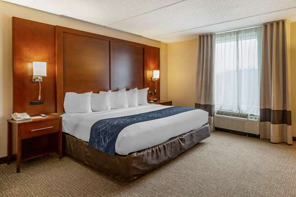 Suite - Comfort Suites Manassas - I-66, Exit 47