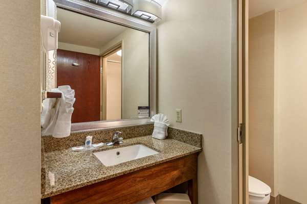 Suite - Comfort Suites Manassas - I-66, Exit 47