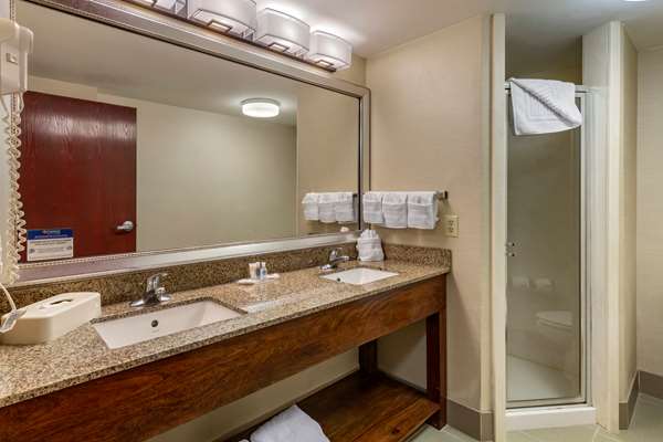 Suite - Comfort Suites Manassas - I-66, Exit 47
