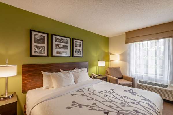 Suite - Sleep Inn & Suites Harrisonburg - I-81, Exit 247