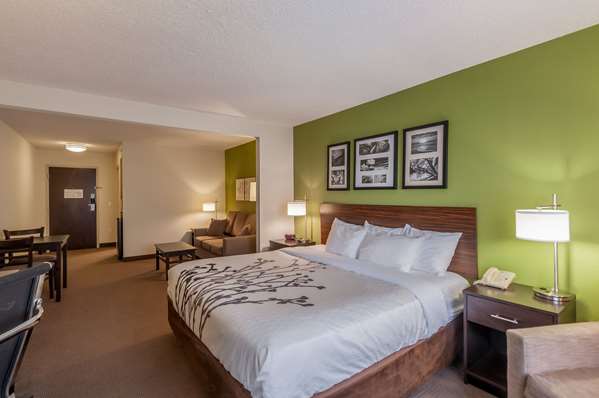 Suite - Sleep Inn & Suites Harrisonburg - I-81, Exit 247