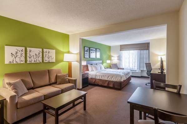 Suite - Sleep Inn & Suites Harrisonburg - I-81, Exit 247