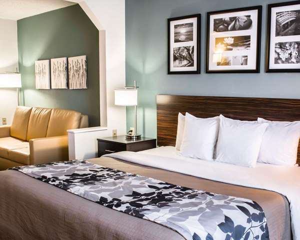 Suite - Sleep Inn & Suites Charlottesville - I-64, Exit 120