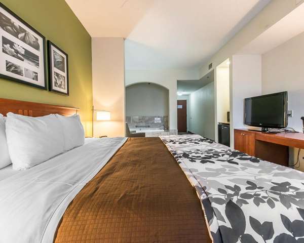 Suite - Sleep Inn & Suites Winchester - I-81, Exit 313