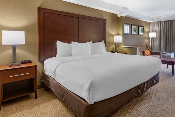 Suite - Comfort Inn & Suites Danville