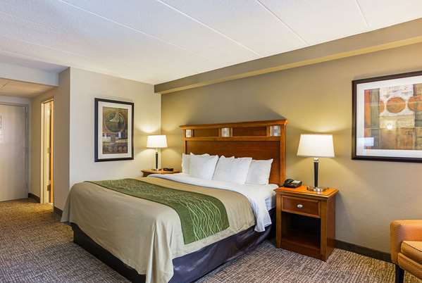  - Comfort Inn Dulles Airport Herndon