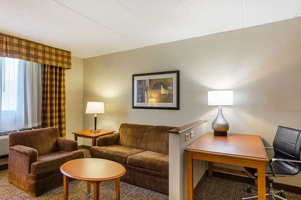 Suite - Comfort Inn Dulles Airport Herndon
