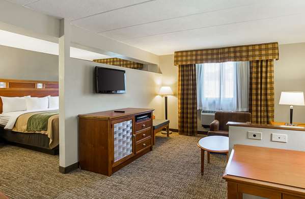 Suite - Comfort Inn Dulles Airport Herndon