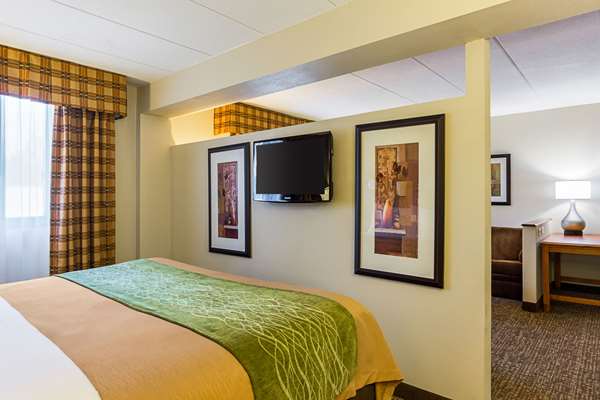 Suite - Comfort Inn Dulles Airport Herndon