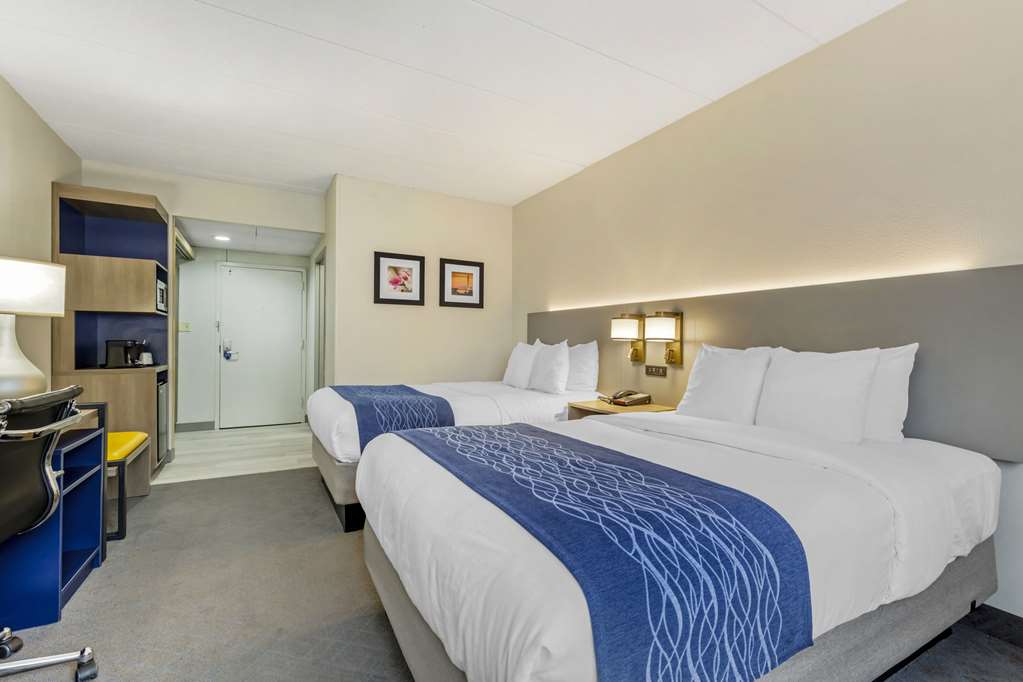 COMFORT INN HERNDON-RESTON-guestroom-Guest Room,On-Site.jpg
