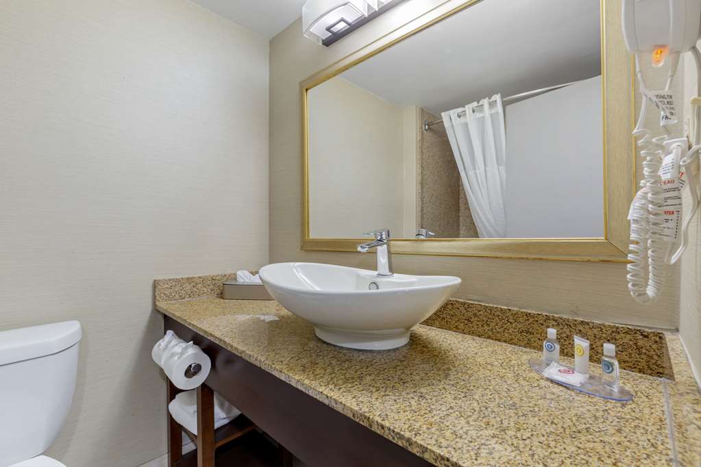 COMFORT INN HERNDON-RESTON-guestroom-Guest Room,Bathroom,On-Site.jpg