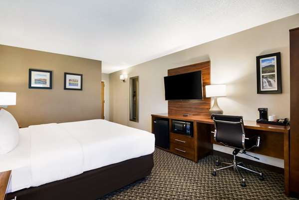  - Comfort Inn Virginia Horse Center Lexington - I-64, Exit 55