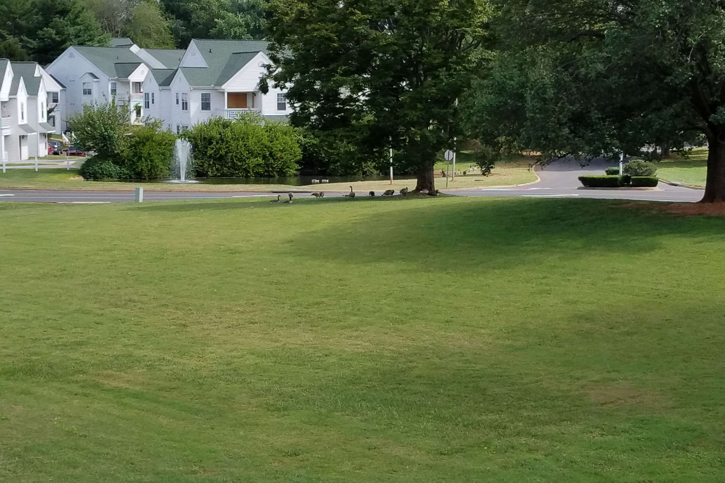 Pet area | Quality Inn Culpeper