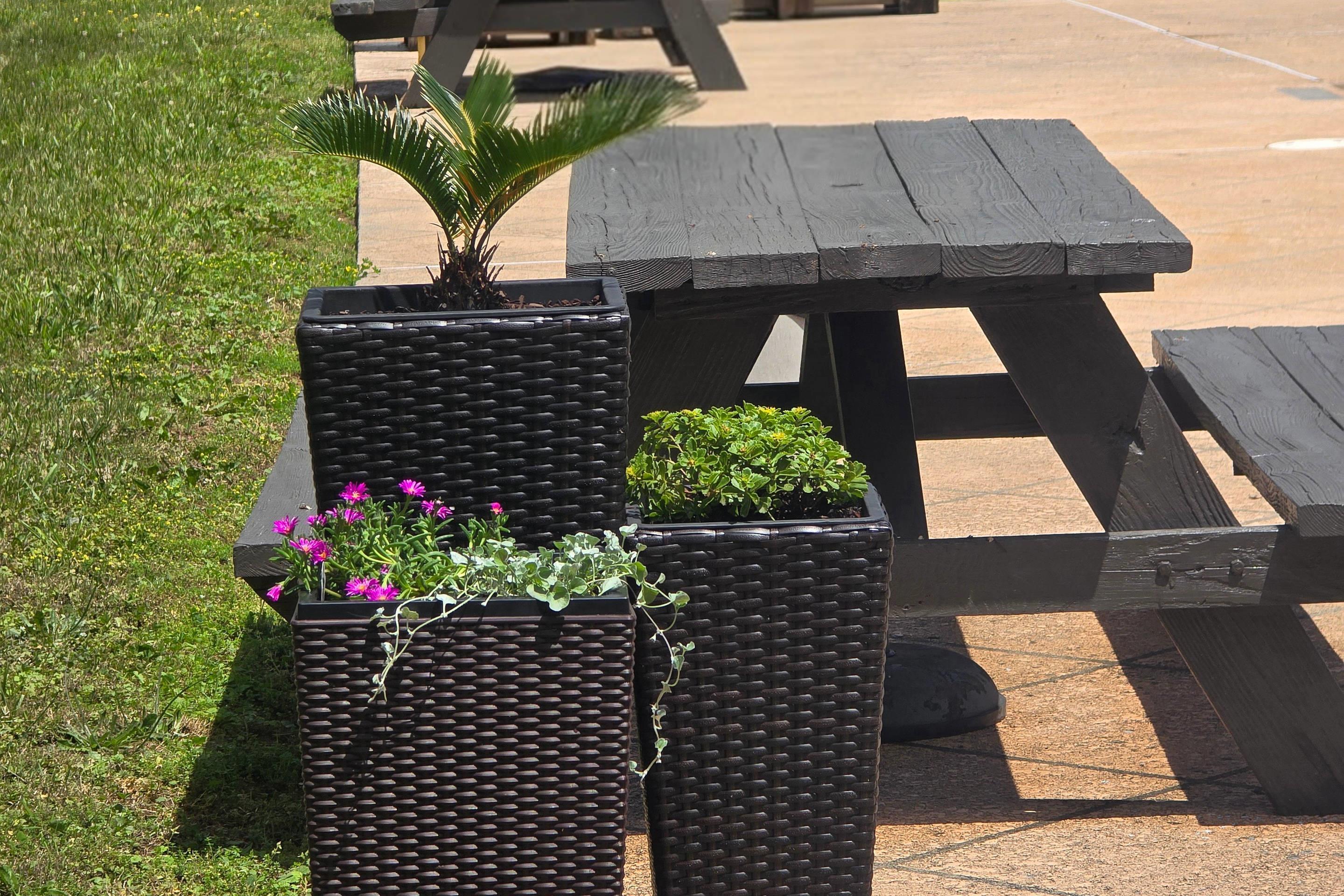 Outdoor area | Quality Inn Dublin I-81