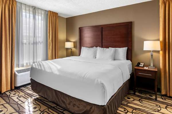 Suite - Comfort Inn Staunton - I-81, Exit 222