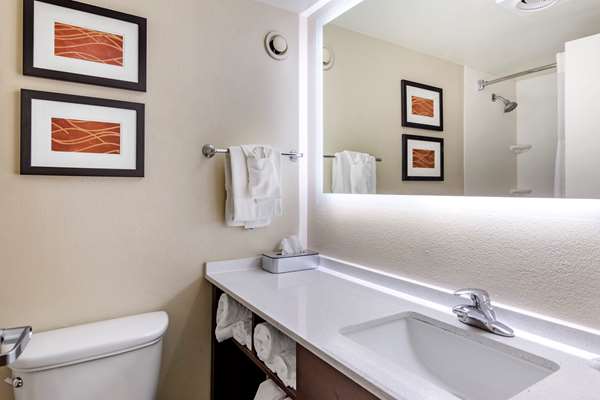  - Comfort Inn Staunton - I-81, Exit 222