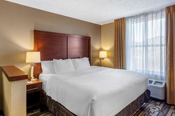  - Comfort Inn Staunton - I-81, Exit 222