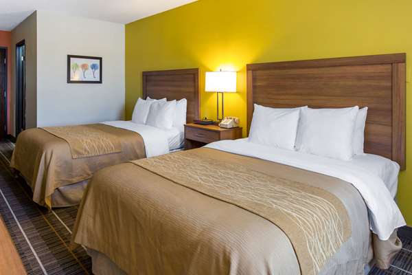  - Quality Inn Stephens City - I-81, Exit 307