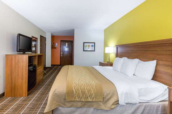  - Quality Inn Stephens City - I-81, Exit 307
