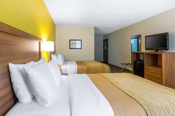  - Quality Inn Stephens City - I-81, Exit 307