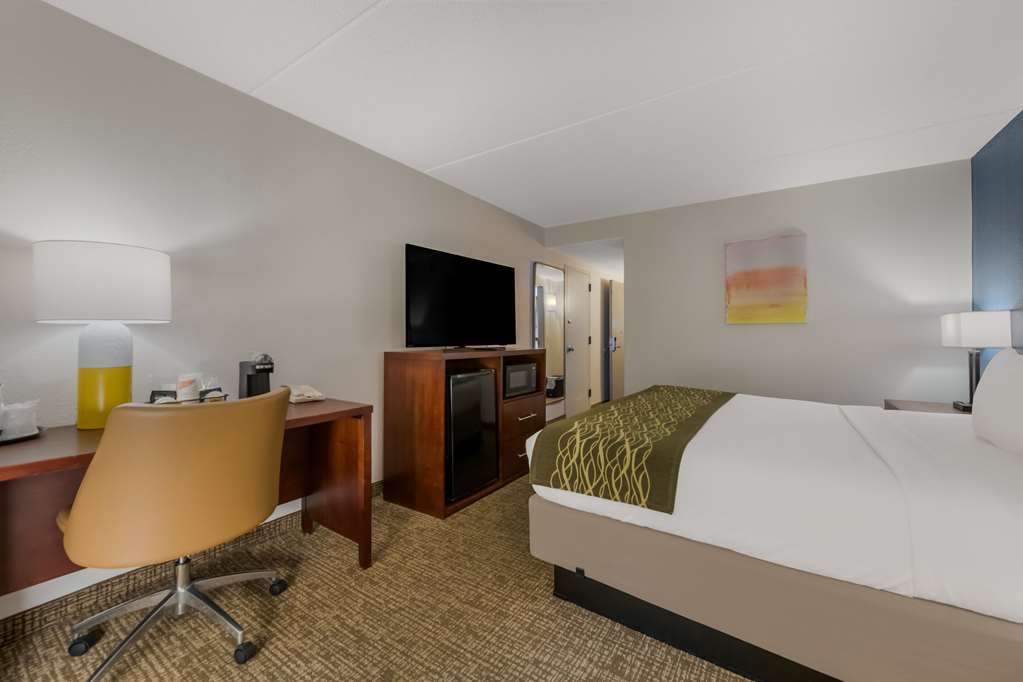 COMFORT INN NEWPORT NEWS - HAMPTON-guestroom-Guest Room,On-Site.jpg