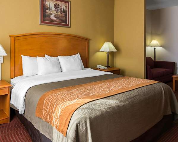 Suite - Comfort Inn Chesapeake