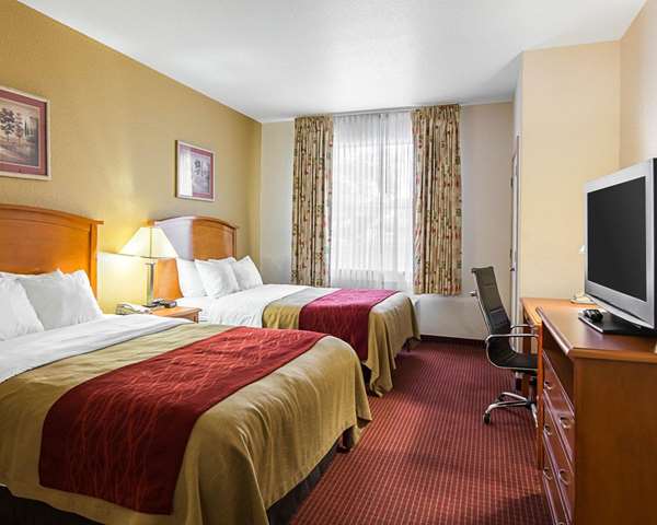 Suite - Comfort Inn Chesapeake