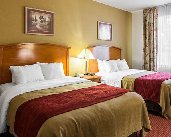 Suite - Comfort Inn Chesapeake