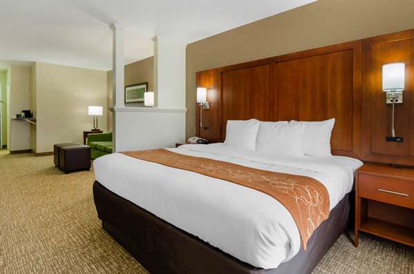 Suite - Comfort Suites Abingdon - I-81, Exit 14