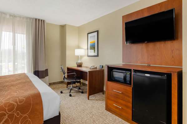 Suite - Comfort Suites Abingdon - I-81, Exit 14